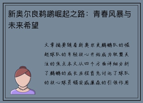 新奥尔良鹈鹕崛起之路：青春风暴与未来希望